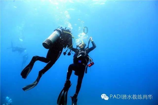 金牌保镖熊先生