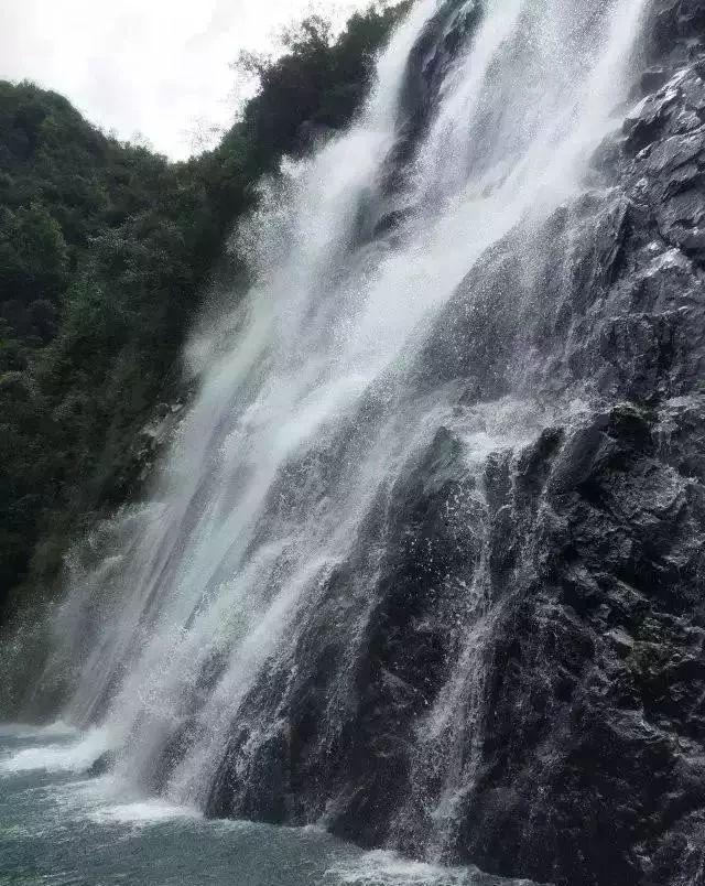 逃离幽灵之森